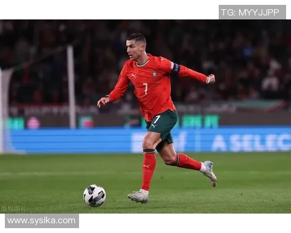 葡萄牙足球明星帅哥的魅力与成就全解析,探寻他们背后的故事与风采