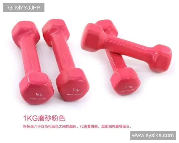 创意自制哑铃图纸详解打造个性化健身器材的实用指南